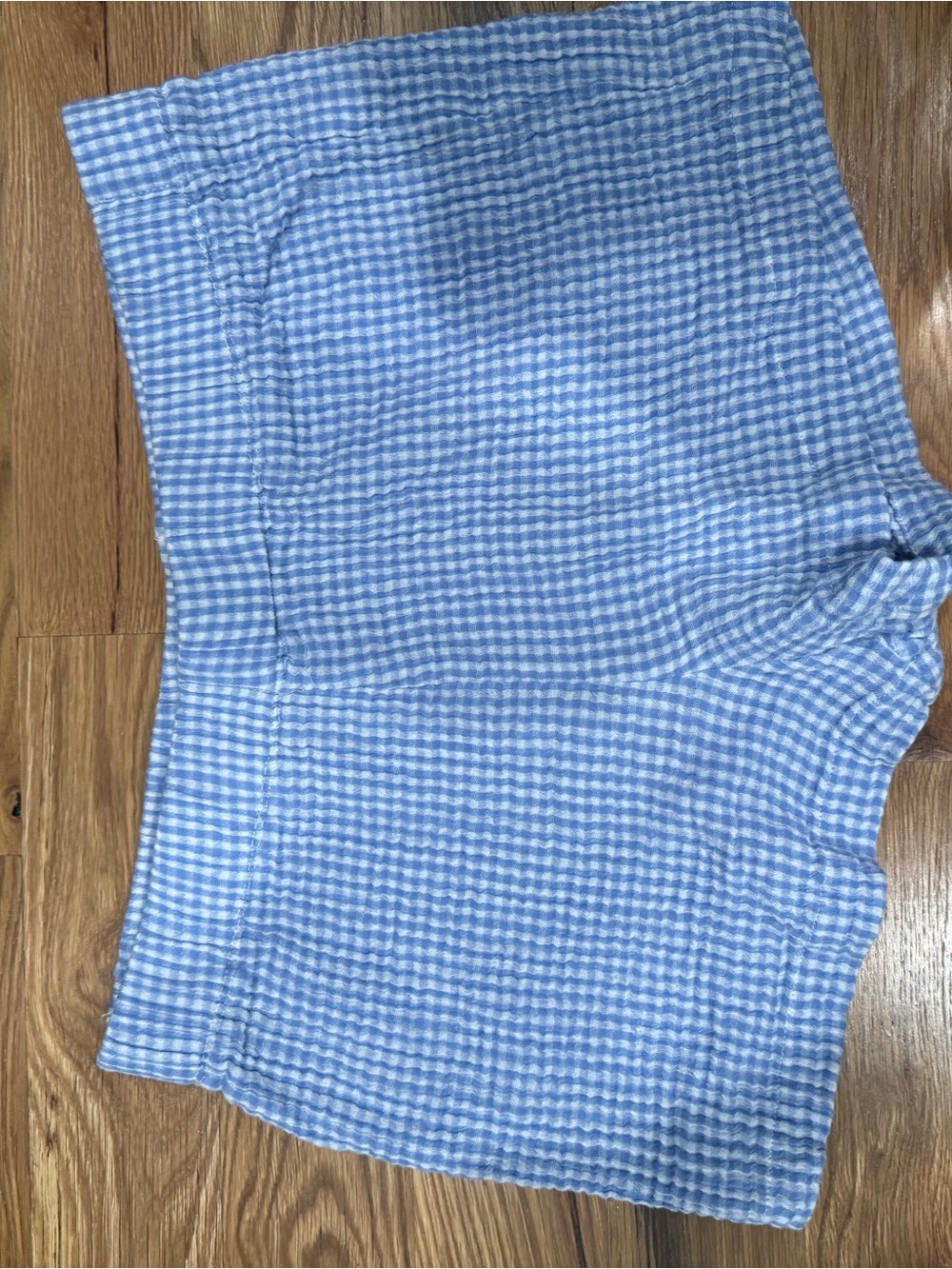Z Supply Light Blue Gingham Womens Shorts
